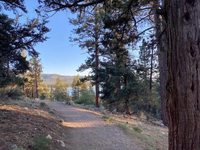 The Fox Paw Villa Big Bear Lake Exteriör bild